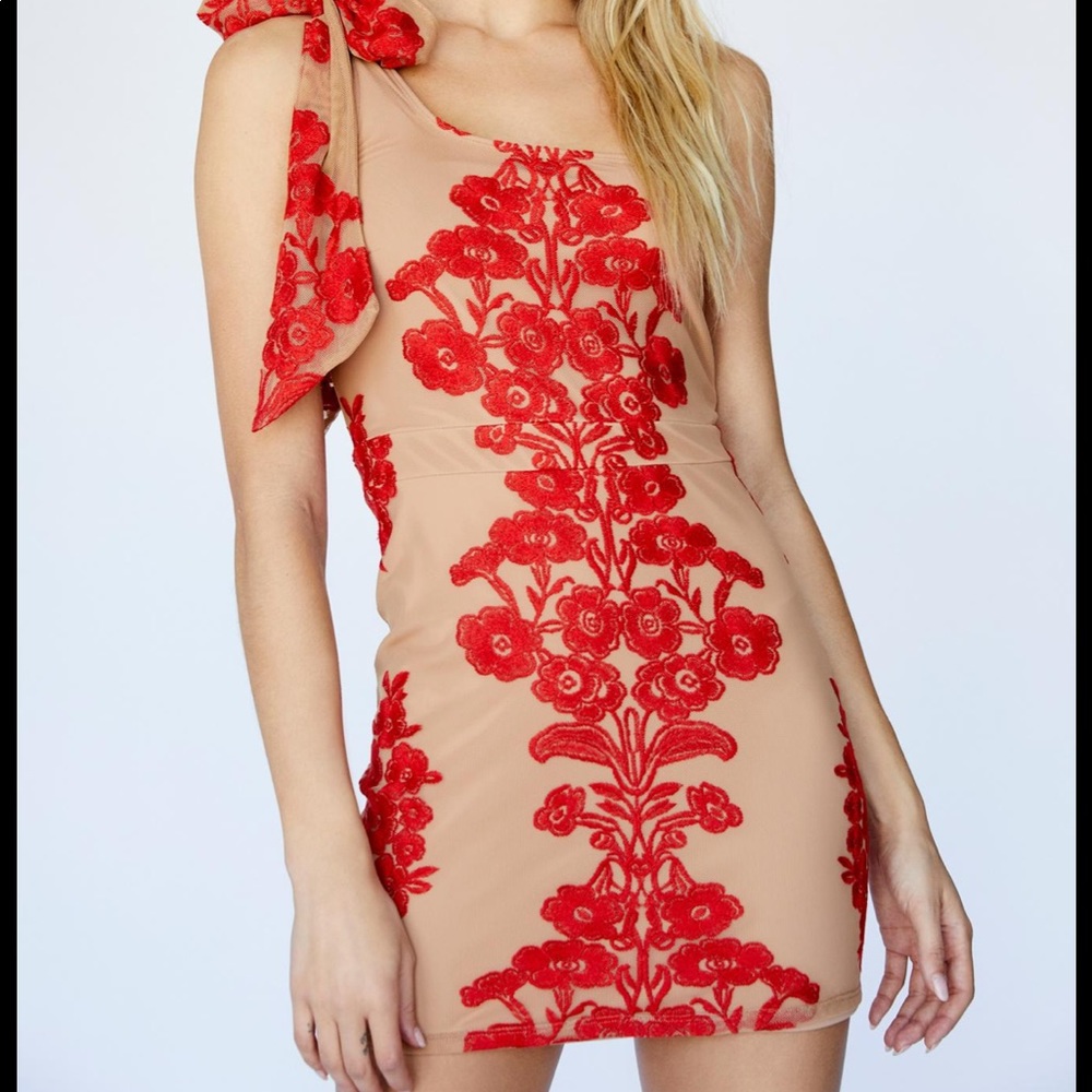 For love and lemons red 1 shoulder Temecula mini